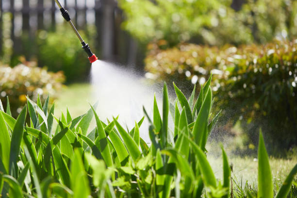 24/7 Emergency Fumigation Services experts in Norton Shores, MI