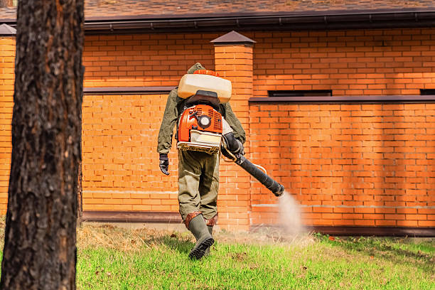 Trusted Ant Control service in Norton Shores, MI - Nex Pest Control
